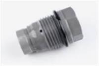 Bosch Pressure Limiting Valve 1110010012 
