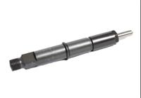 Bosch Diesel Injector 0432193498